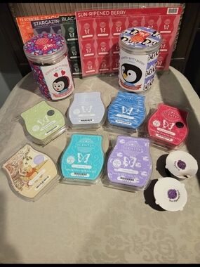 Scentsy Lot $25  Assorted Wax Bars & Bitty Buddies